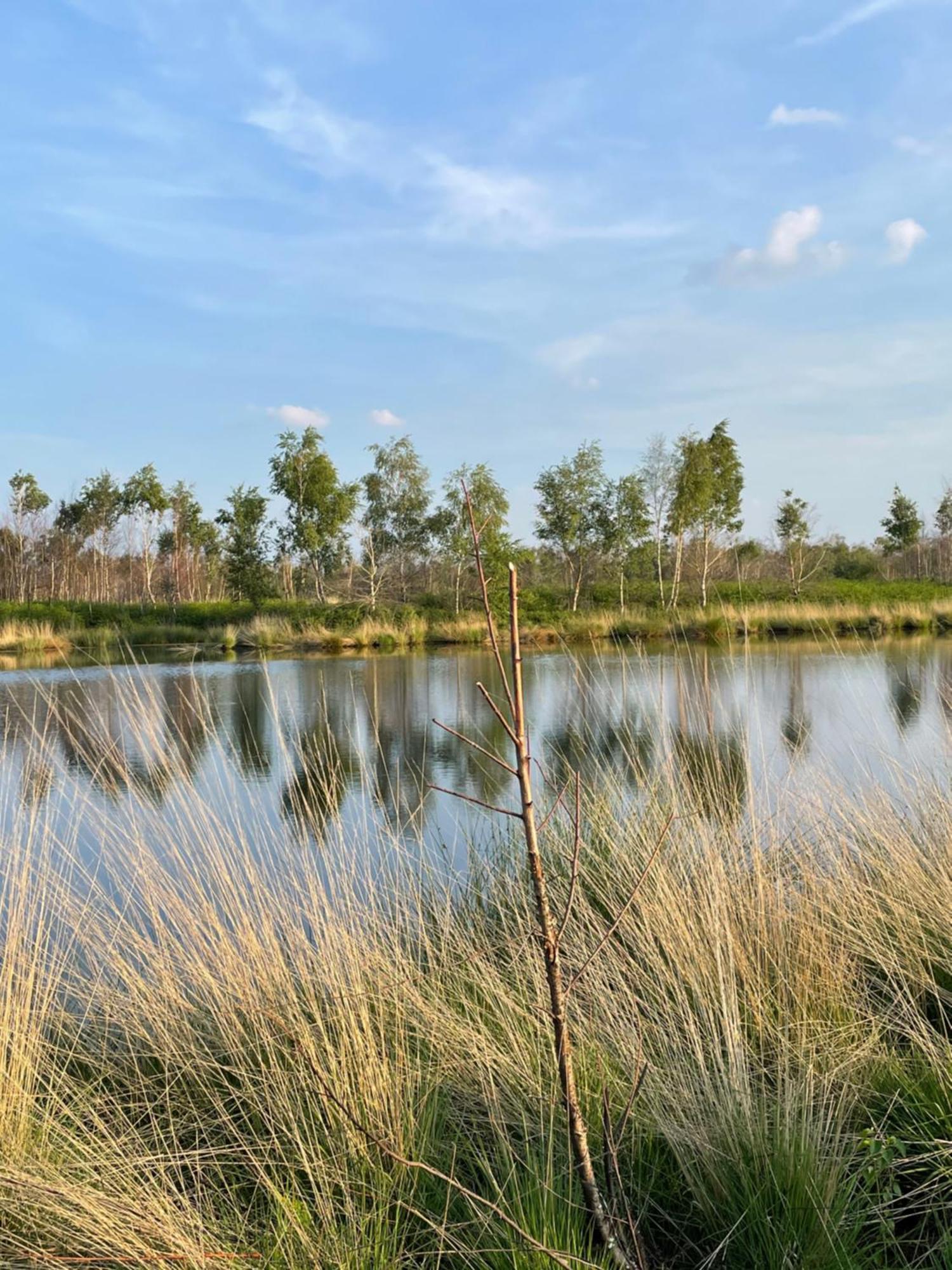 Vakantiewoning Hegga Hegelsom Esterno foto